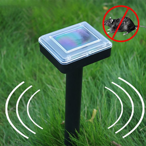 298d4552-6c3e-48e4-8e9e-040dc79a5757.cf00f056db15f6573abcaf2c5c019920