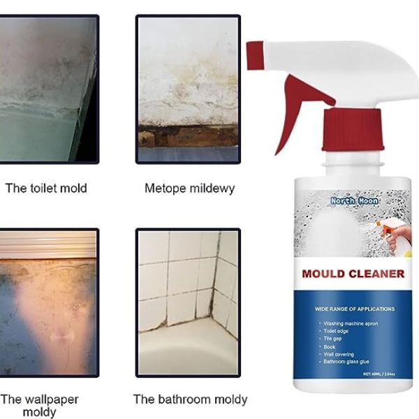 xr:d:DAFsZP7tExM:3,j:6448429419744925476,t:23082320