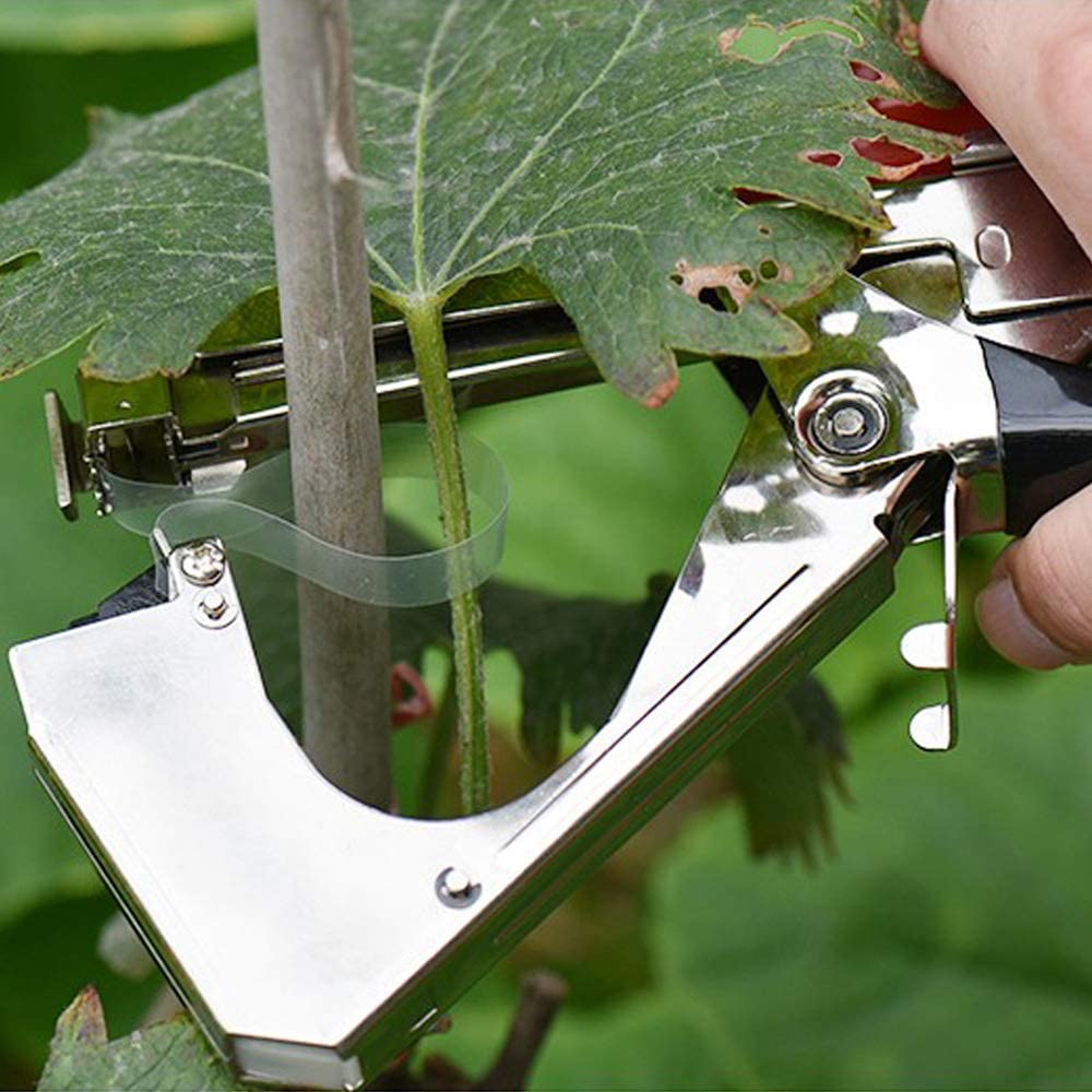 61wlZpU-puL._AC_SL1000_