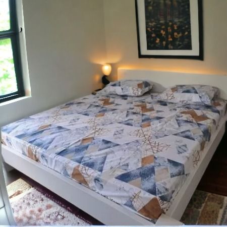 carsav-romboidi-ranforce